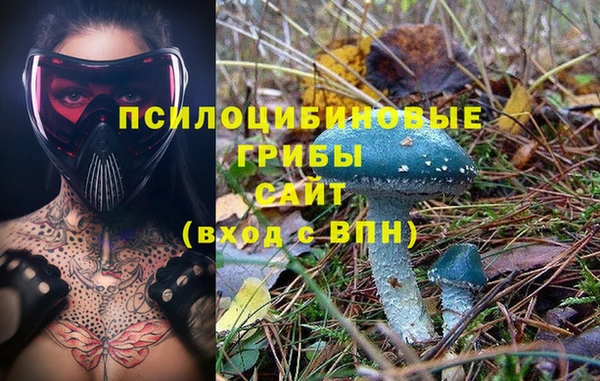 молекула духа Кинешма