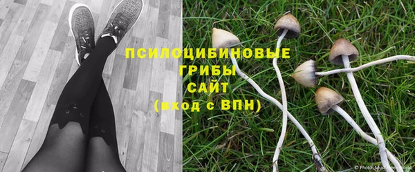 молекула духа Яранск