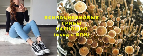 винт Яровое