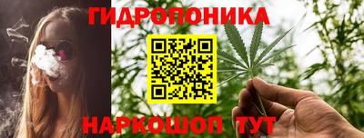 мяу мяу мука Гусь-Хрустальный